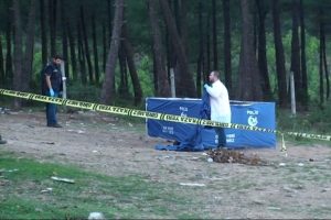 Ormanlık alandaki kavga kanlı bitti: 1 &ouml;l&uuml;