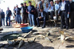 Bursa'da 'zıplayan balıkları' a&ccedil;ık artırmayla sattılar
