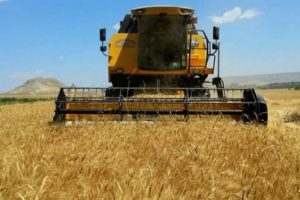 Tarım sigortasından &uuml;reticiye 850 milyon TL &ouml;deme