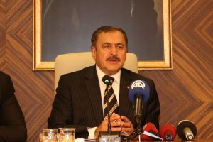 "Yeşil Yol'da kesilen ağa&ccedil; sayısı 100 bile değil"