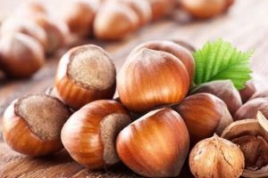 Fındık fiyatı haftaya 13 liradan başladı
