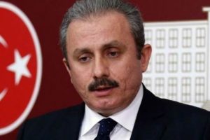 Şentop: Yakında erken se&ccedil;im olacağı kanaatinde değilim