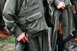Tatvan kırsalında 4 ter&ouml;rist &ouml;ld&uuml;r&uuml;ld&uuml;