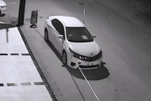 Sokak k&ouml;pekleri otomobili par&ccedil;aladı