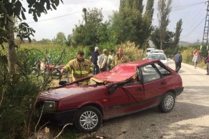 Seyir halindeyken &uuml;zerine ağa&ccedil; devrildi: 1 &ouml;l&uuml;, 1 yaralı