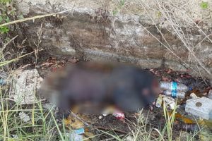 Kayıp kadının cesedi sulama kanalında bulundu