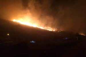 Bursa Mudanya'da b&uuml;y&uuml;k orman yangını