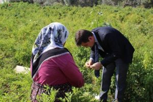 Biber ile yoksulluktan kurtuldular