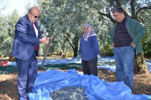 Başkan Sargın Bursalı &ccedil;ift&ccedil;ilerle zeytin sezonunu a&ccedil;tı