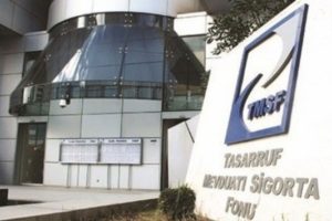 D&uuml;zce'de 17 şirket TMSF'ye devredildi