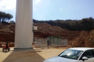 Bursa'da RES i&ccedil;in ağa&ccedil; katliamı