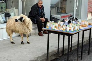 'Dadaş Mucit' tanıtım i&ccedil;in protokol&uuml; b&ouml;yle bekledi
