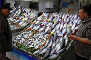 Palamutta bolluk bitti, fiyatı y&uuml;zde 50 zamlandı