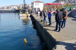 Deniz suyunun ani soğuması balıkları şoka soktu