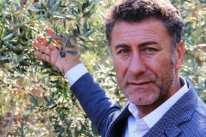 CHP Bursa Milletvekili Sarıbal: Zeytinlikler talana a&ccedil;ılıyor