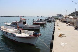 Hamsi i&ccedil;in meraklı bekleyiş s&uuml;r&uuml;yor