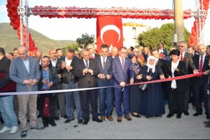 Bursa'da 2. Uluslararası Gemlik Zeytini Festivali başladı