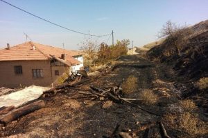 Kışlık 2 ton odunu yangında k&uuml;l oldu