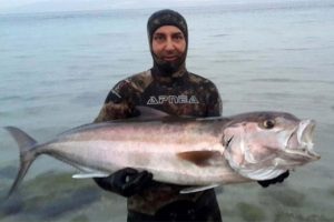 T&uuml;ps&uuml;z dalışta boyu b&uuml;y&uuml;kl&uuml;ğ&uuml;nde balık avlıyor