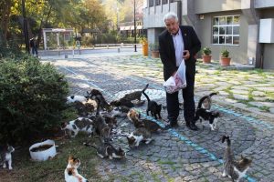 'Kedi b&ouml;l&uuml;ğ&uuml;' sabah i&ccedil;timasında