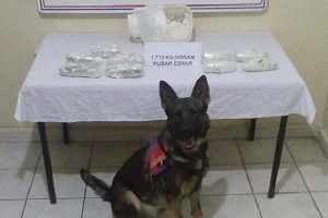Otob&uuml;ste 1 kilo 772 gram esrar ele ge&ccedil;irildi