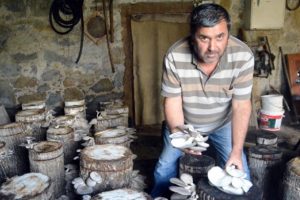 Bodrumunda yetiştirdiği mantarları internette satıyor
