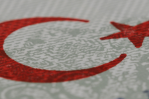 T&uuml;rkiye'ye d&ouml;nmeyenler vatandaşlıktan &ccedil;ıkarılacak
