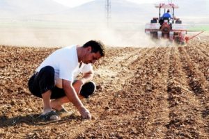 &Ccedil;ift&ccedil;ilere 640 milyon TL'lik destek yarın &ouml;deniyor