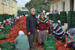 Bursa'dan Avrupa'ya sal&ccedil;a ihracatı s&uuml;r&uuml;yor