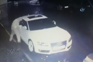 20 bin TL'yi 20 saniyede &ccedil;aldılar