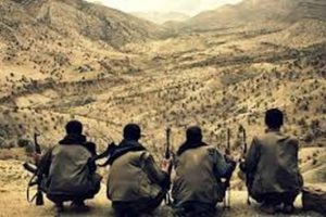 Eldeki PKK'lının kod adı Serhat Karayazı'ymış