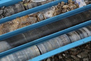 T&uuml;rkiye'nin kaya petrol&uuml; potansiyeline Estonya ilgisi