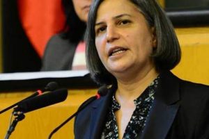CHP'li Bing&ouml;l'den G&uuml;ltan Kışanak'a destek