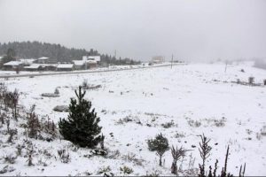 Kartalkaya beyaza b&uuml;r&uuml;nd&uuml;