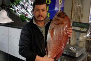 Oltayla 10 kiloluk mercan balığı yakaladı