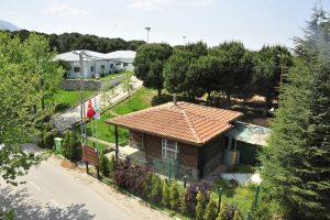 Bursa Yıldırım Belediyesi'nden sokak hayvanlarına destek