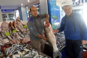 Bursa Mudanya'da balık bereketi