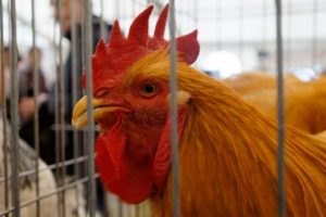 &Ouml;t&uuml;ş&uuml;nden &ccedil;ok fiyatıyla dikkat &ccedil;ekti!