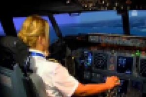 Havada panik! Pilot derhal kuleyi uyardı
