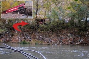 Tren raydan &ccedil;ıktı, vagonlar ırmağa d&uuml;ş&uuml;yordu