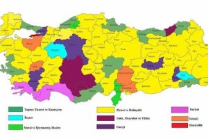 T&uuml;rkiye'nin sekt&ouml;rel kredi haritası