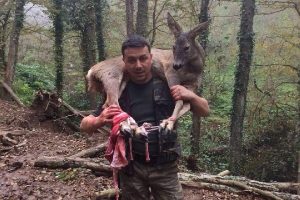 Yaralı karacayı 3 kilometre omzunda taşıyarak kurtardı