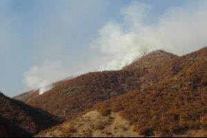 Tunceli'de PKK son 20 yılın en b&uuml;y&uuml;k darbesini yedi