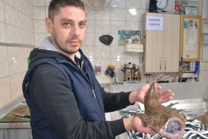 Karadeniz'de ağlara fener balığı takıldı