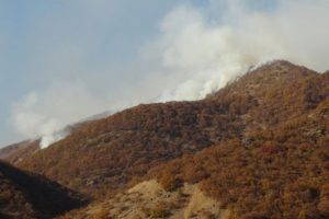 Tunceli'de PKK'ya operasyon: 19 ter&ouml;rist &ouml;ld&uuml;r&uuml;ld&uuml;