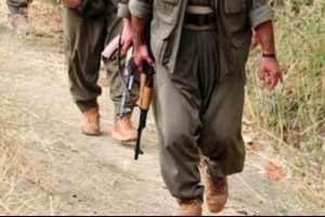 Hakkari'de aranan bir ter&ouml;rist yakalandı