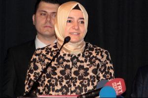 Bakan Kaya'dan şehitlerle ilgili iddialara yanıt