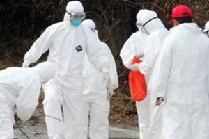 Almanya'da kuş gribi vir&uuml;s&uuml;ne rastlandı!