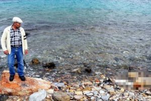 Şenlik i&ccedil;in gittikleri Karaada'da erkek cesedi buldular