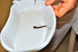 Yaşlı kadının burnundan s&uuml;l&uuml;k &ccedil;ıktı